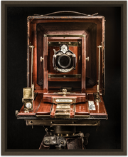 Load image into Gallery viewer, Century