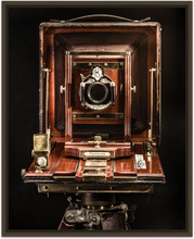 Load image into Gallery viewer, Century