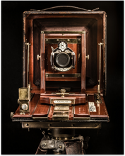 Load image into Gallery viewer, Century