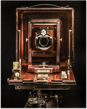 Load image into Gallery viewer, Century