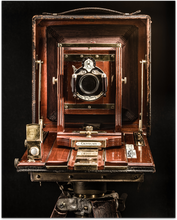 Load image into Gallery viewer, Century