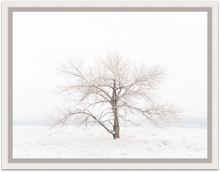 Load image into Gallery viewer, Crystal Bliss