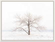 Load image into Gallery viewer, Crystal Bliss