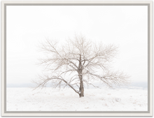 Load image into Gallery viewer, Crystal Bliss