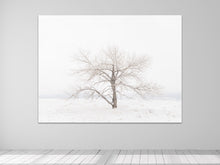 Load image into Gallery viewer, Crystal Bliss