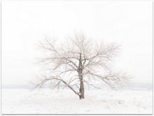 Load image into Gallery viewer, Crystal Bliss