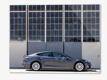 Load image into Gallery viewer, Glass Menagerie (Tesla Model S)