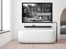 Load image into Gallery viewer, Psycho