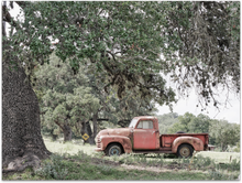 Load image into Gallery viewer, Red Roads Of Texas